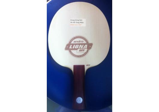 Andro ligna off second hand 99%_đã bán